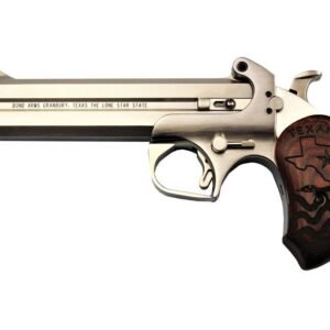 Bond Arms Texan Stainless .45 LC / .410 GA 6-inch 2Rds